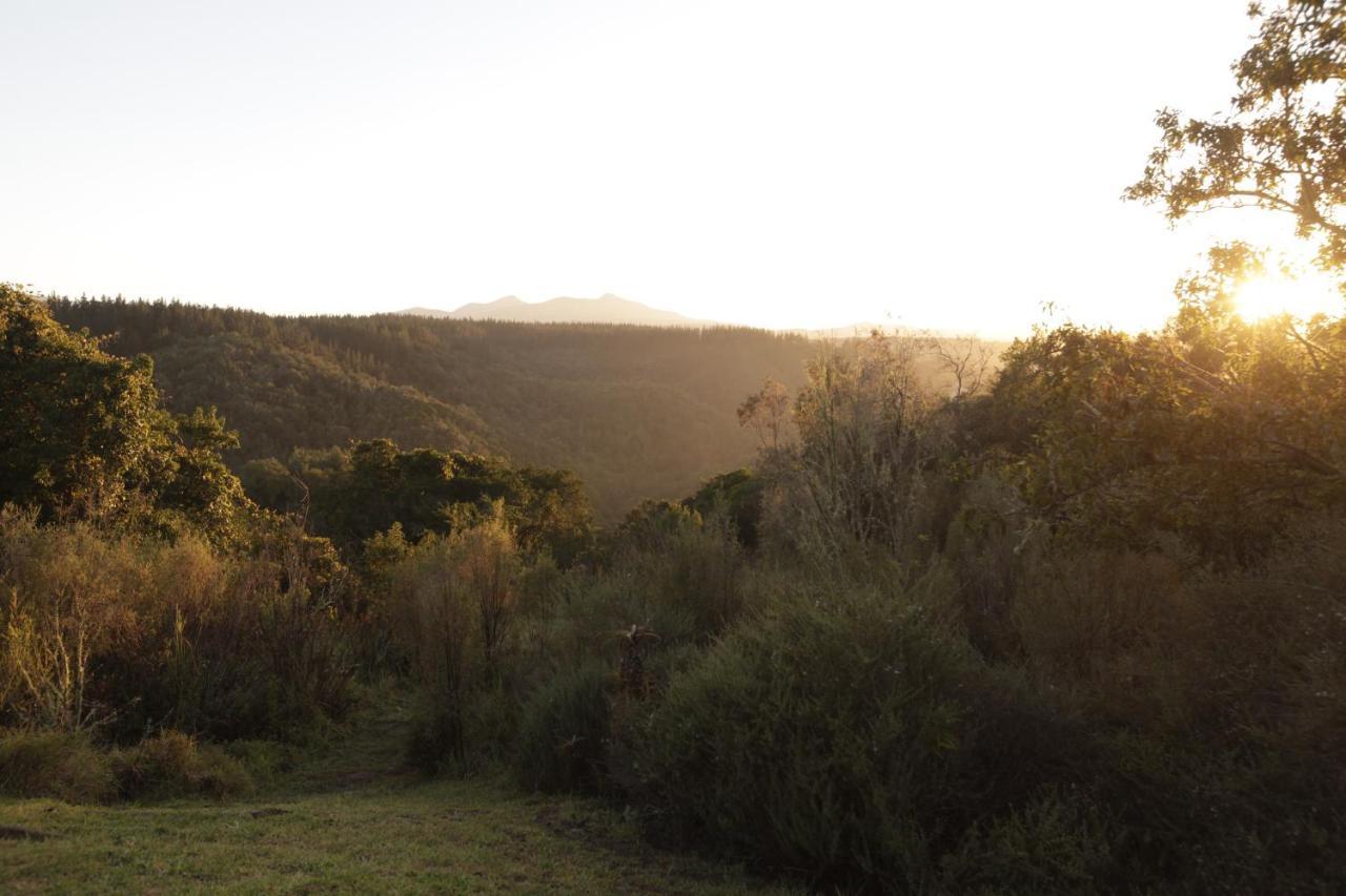 Forest Hills Knysna Ngoại thất bức ảnh