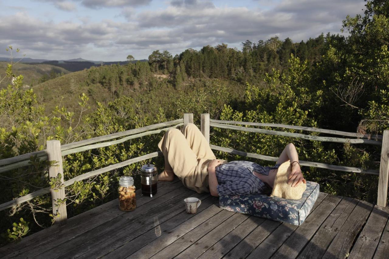 Forest Hills Knysna Ngoại thất bức ảnh