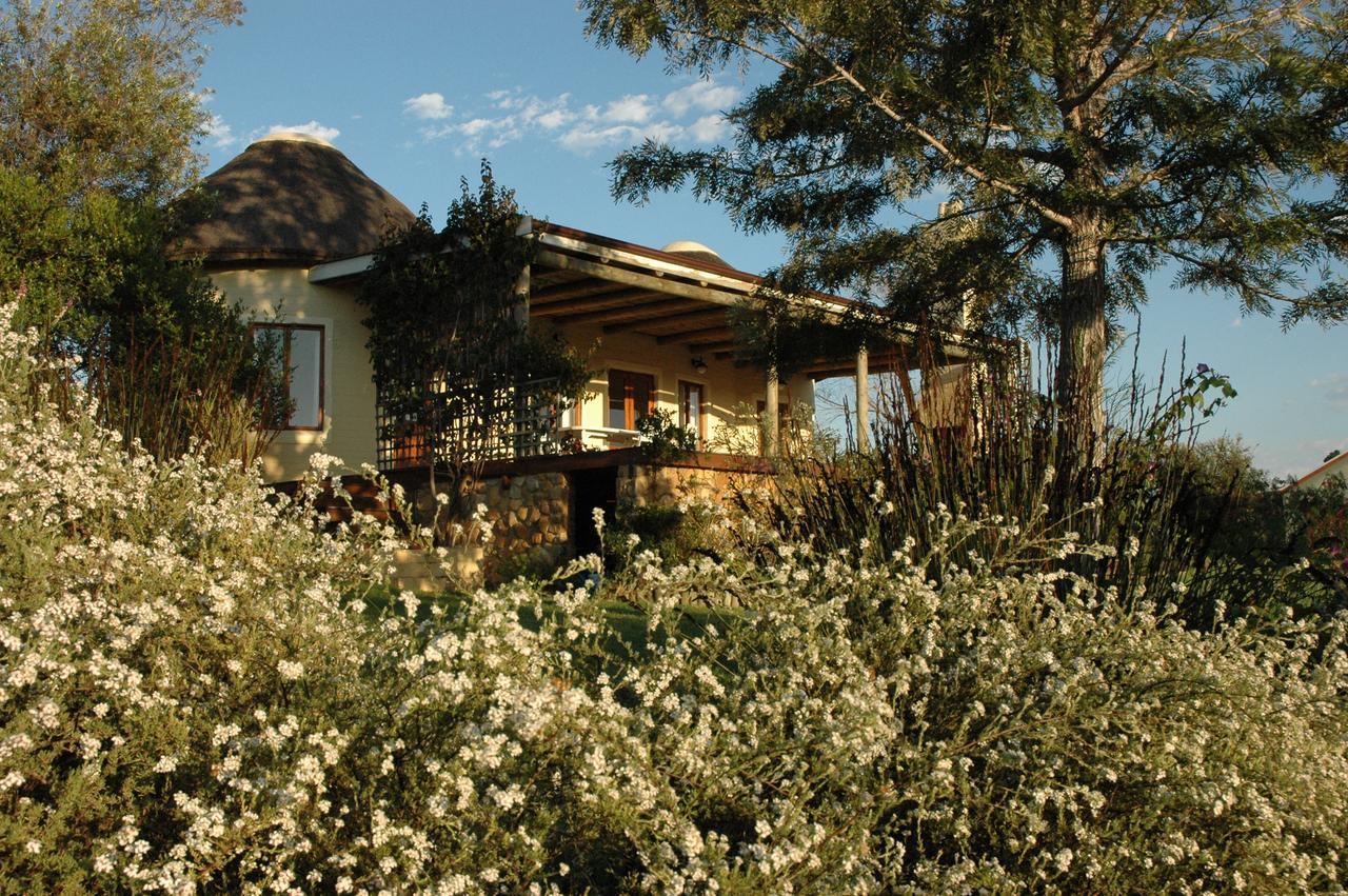 Forest Hills Knysna Ngoại thất bức ảnh
