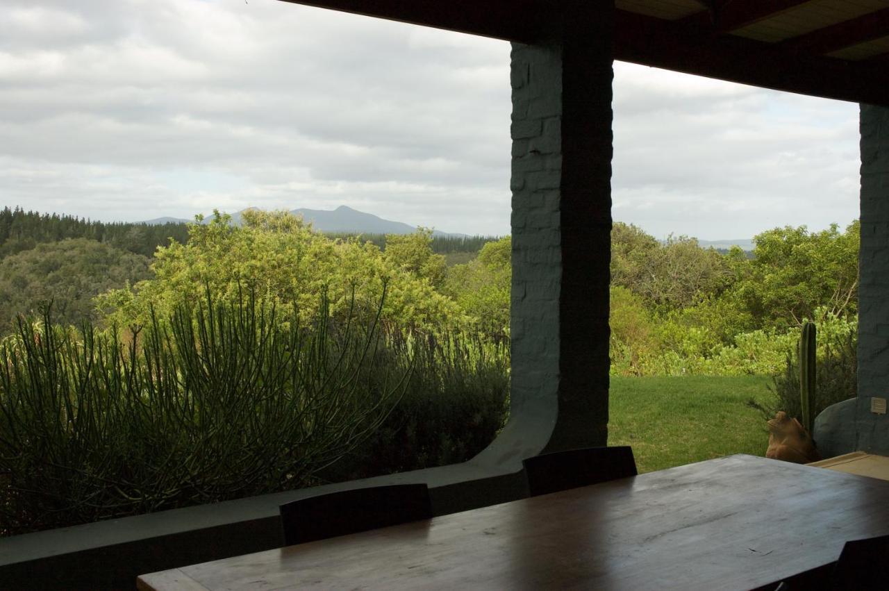 Forest Hills Knysna Ngoại thất bức ảnh